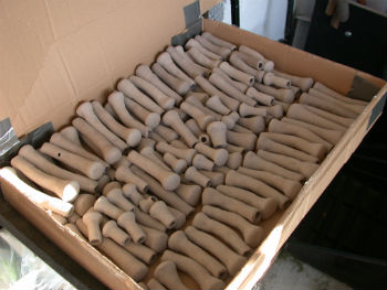 Clay polyps for ceramic sculpture by Peter Heywood