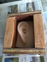 Past work - Ears