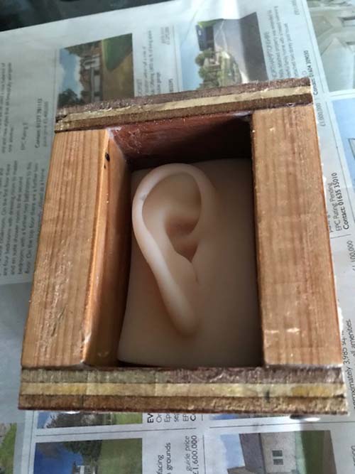 ear in mould for wax