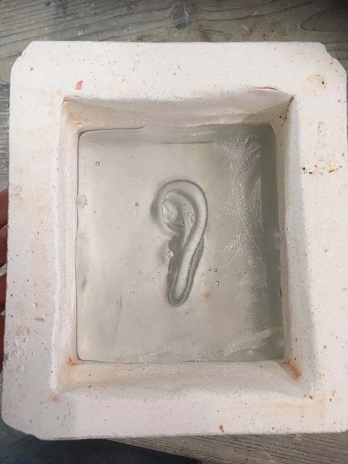 ear in glass slab
