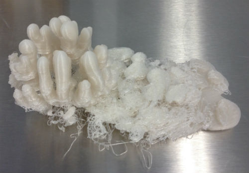 3D printing coral 
