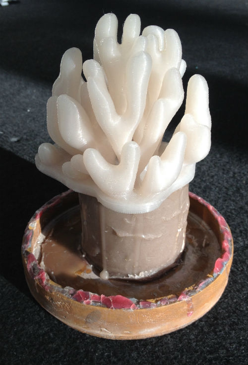 3D printed coral in plastic on a wax cylinder