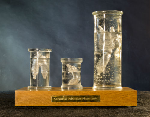 Cast glass specimen jars