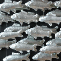 Fish made from drink cans