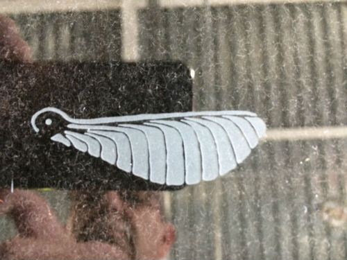 Test result of sand-blasting a sycamore seed on glass